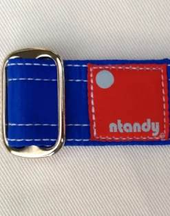 Carve Designs Accessories^Ntandy Belt: Blue
