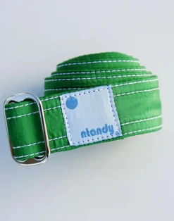 Carve Designs Accessories^Ntandy Belt: Green