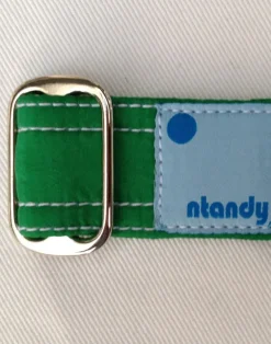 Carve Designs Accessories^Ntandy Belt: Green